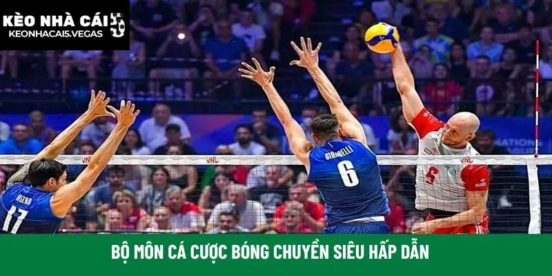 Bộ môn cá cược bóng chuyền siêu hấp dẫn