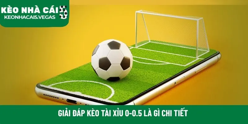 Giải đáp kèo tài xỉu 0-0.5 là gì chi tiết