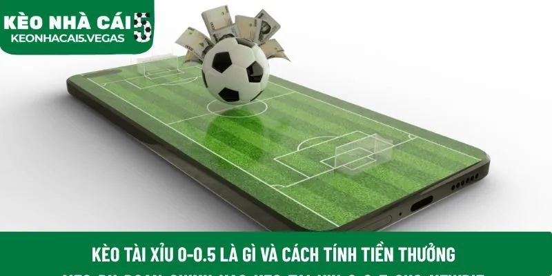 Kèo tài xỉu 0-0.5 là gì và cách tính tiền thưởng