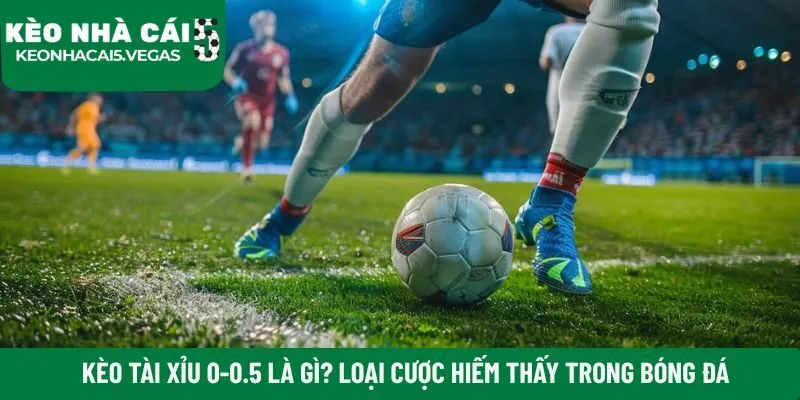 Kèo tài xỉu 0-0.5 là gì