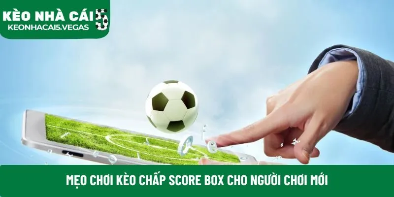Mẹo chơi kèo chấp score box cho người chơi mới