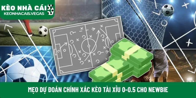 Mẹo dự đoán chính xác kèo tài xỉu 0-0.5 cho newbie
