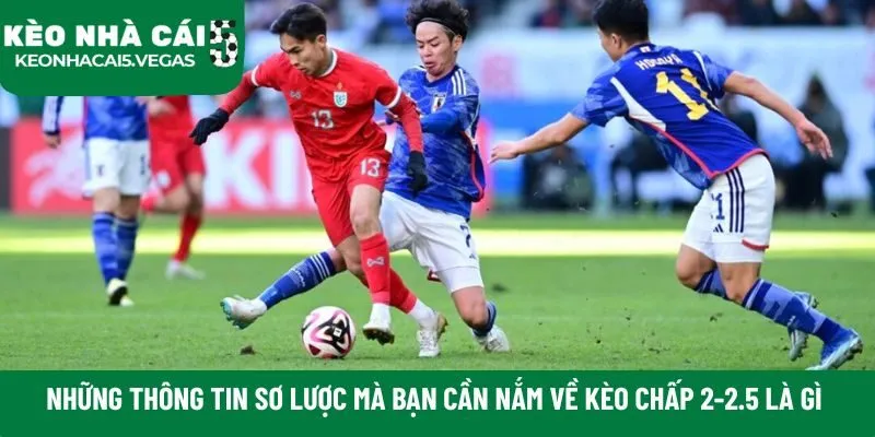 Những thông tin sơ lược mà bạn cần nắm về kèo chấp 2-2.5 là gì
